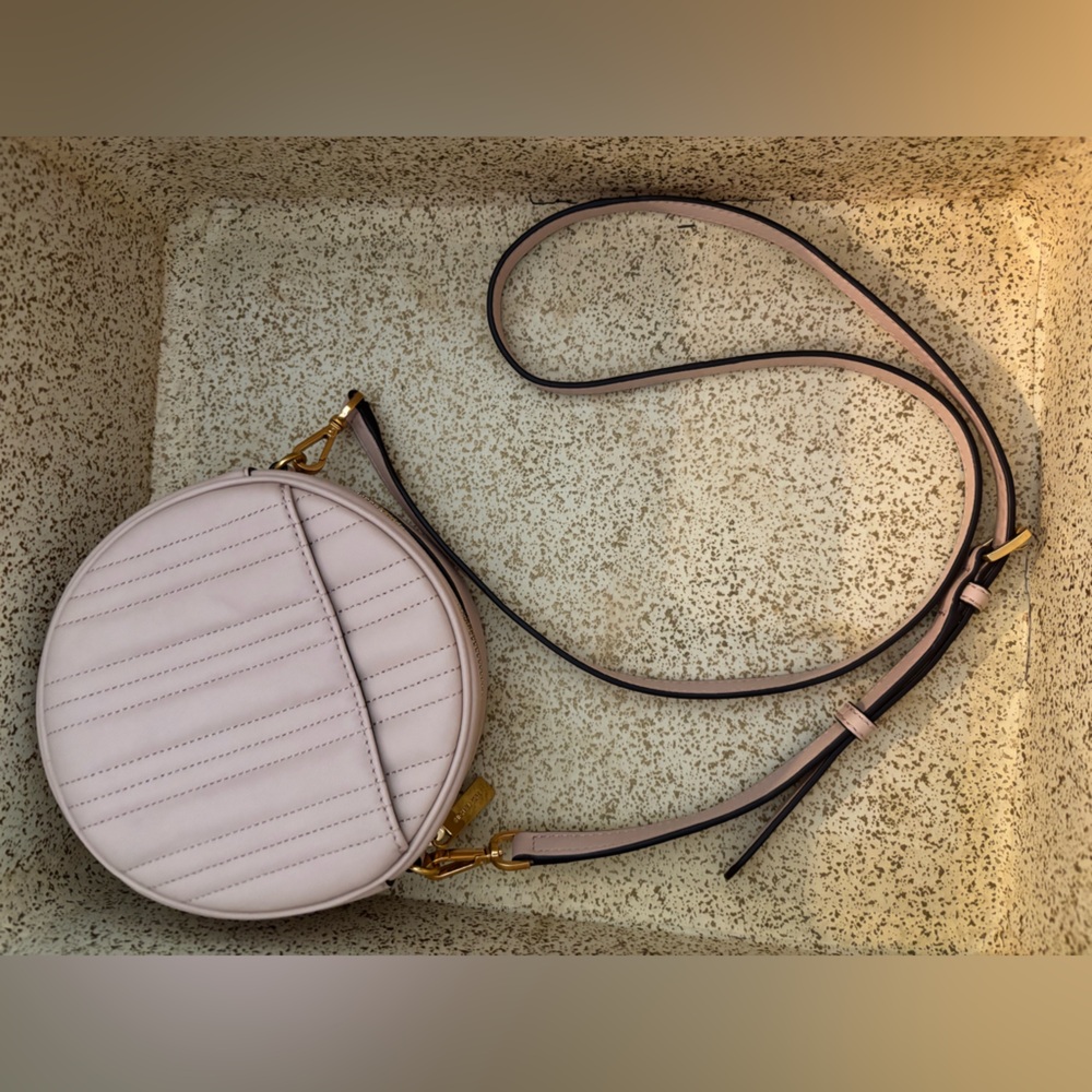 Michael Kors Vivianne Canteen 3D Rose Crossbody Ballet - Picture 2 of 3